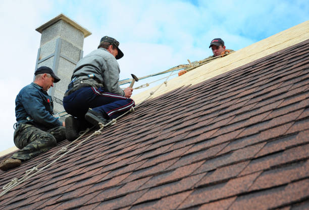 Best Roof Gutter Cleaning  in Franklin Lakes, NJ